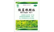 板藍根顆粒